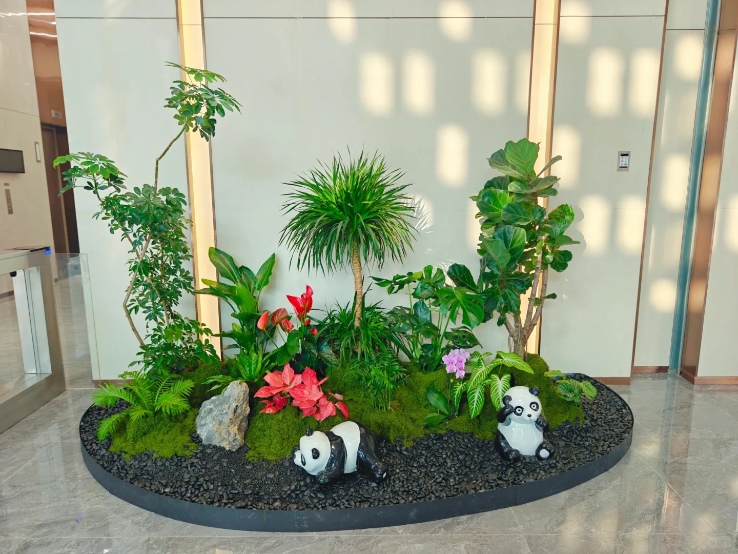 专业绿植租赁,为宁波余姚增添一抹绿